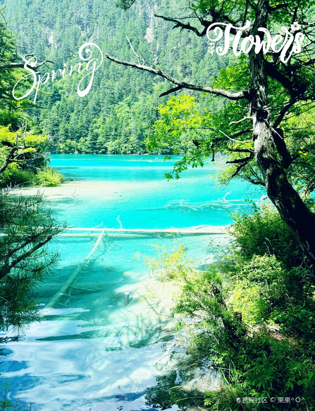 九寨沟旅游-九寨沟旅游最新攻略