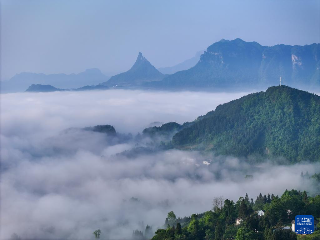 重庆金佛山旅游-重庆金佛山旅游全攻略 重庆金佛山旅游-重庆金佛山旅游全攻略