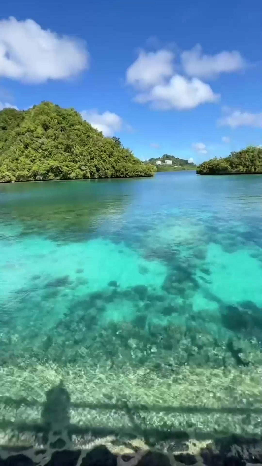 帕劳旅游-帕劳旅游攻略必去景点
