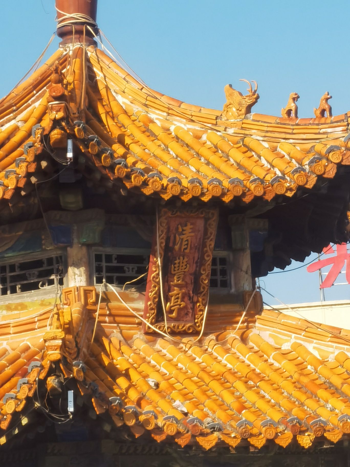 濮阳旅游景点大全-濮阳旅游景点最好玩的
