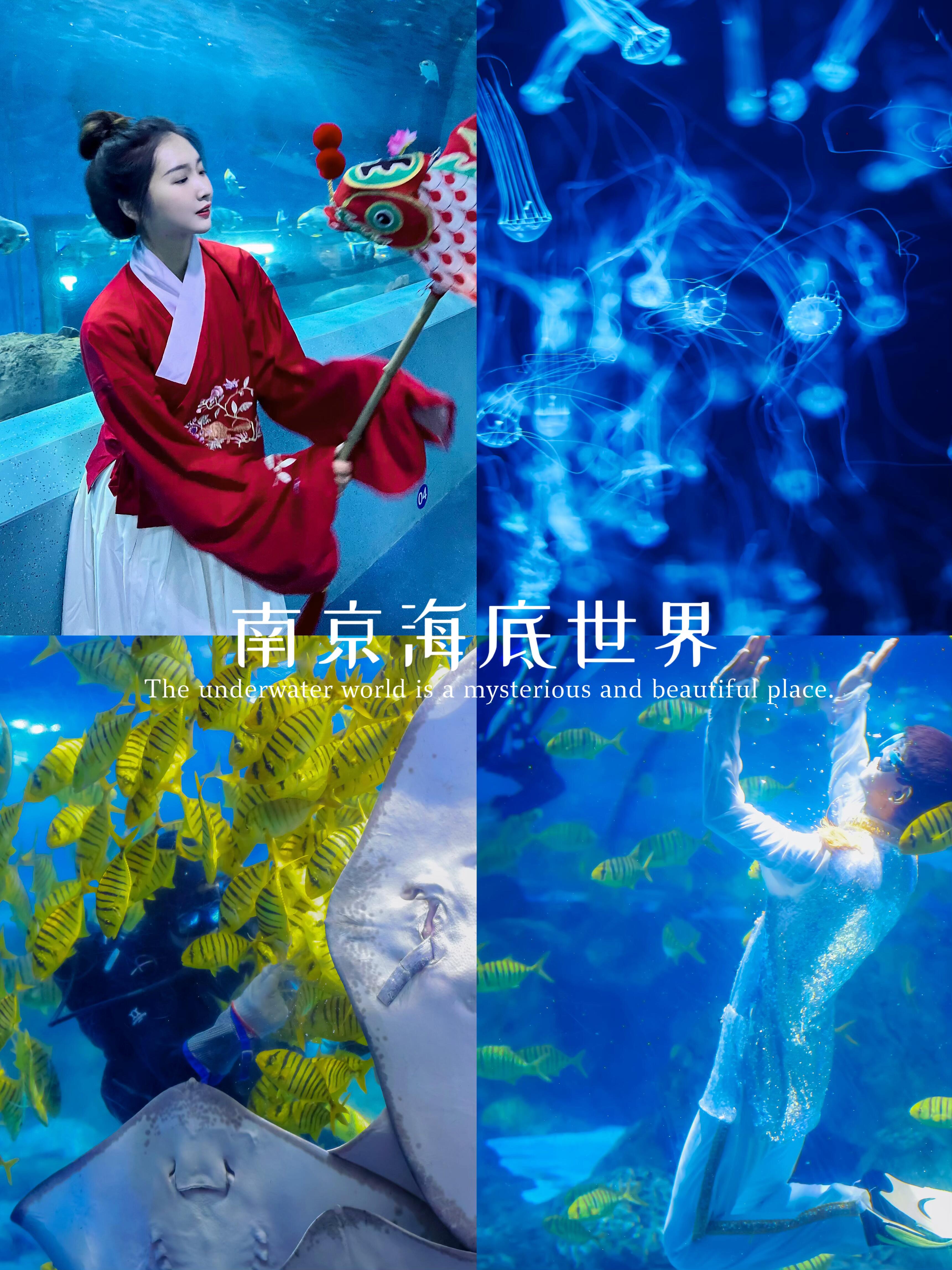 南京海底世界门票价格-南京海底世界门票价格多少