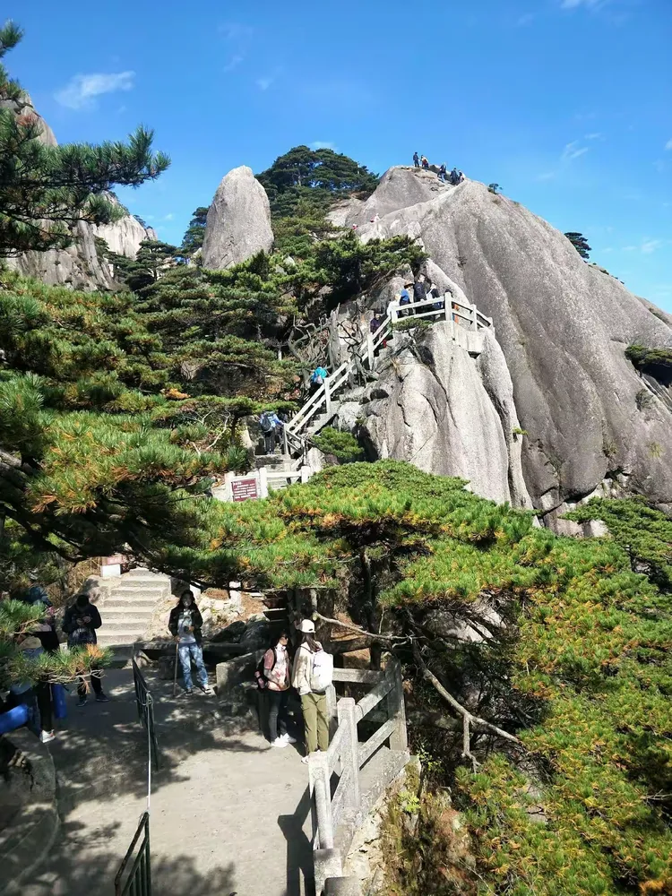 合肥到黄山旅游价格-合肥到黄山旅游攻略一日游
