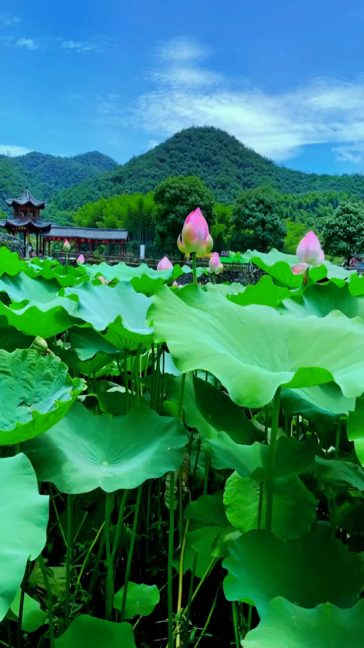 金华旅游景点-金华旅游景点大全排名