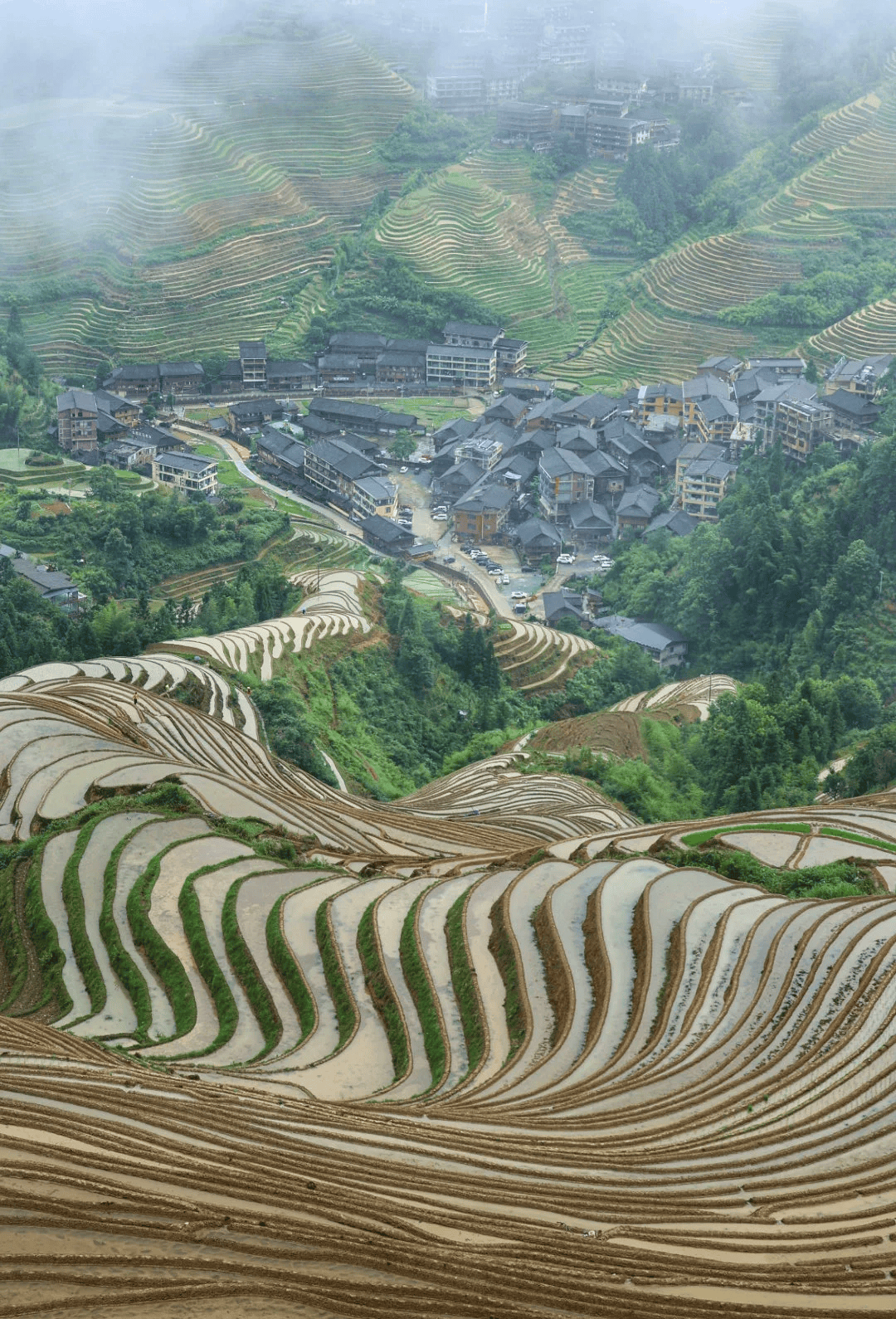 广西旅游团-广西旅游团报价表