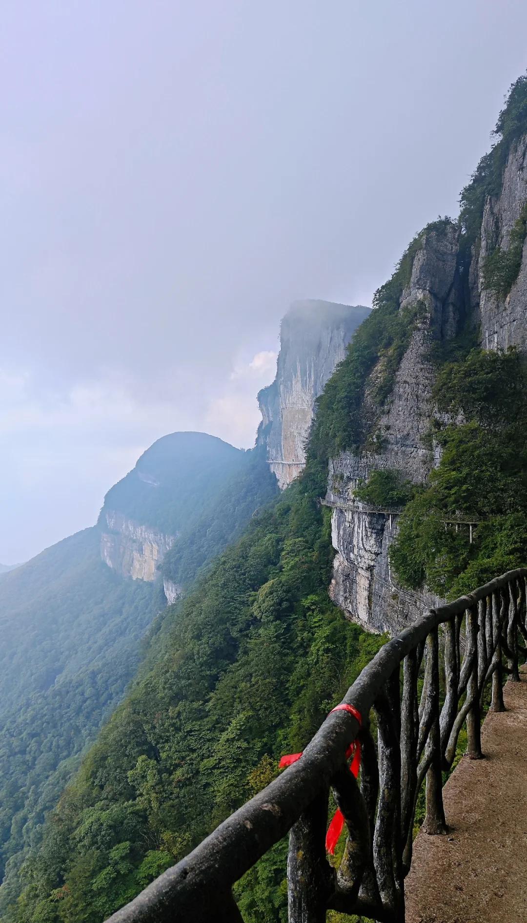 重庆金佛山门票-重庆金佛山门票多少钱一张?有优惠政策吗?