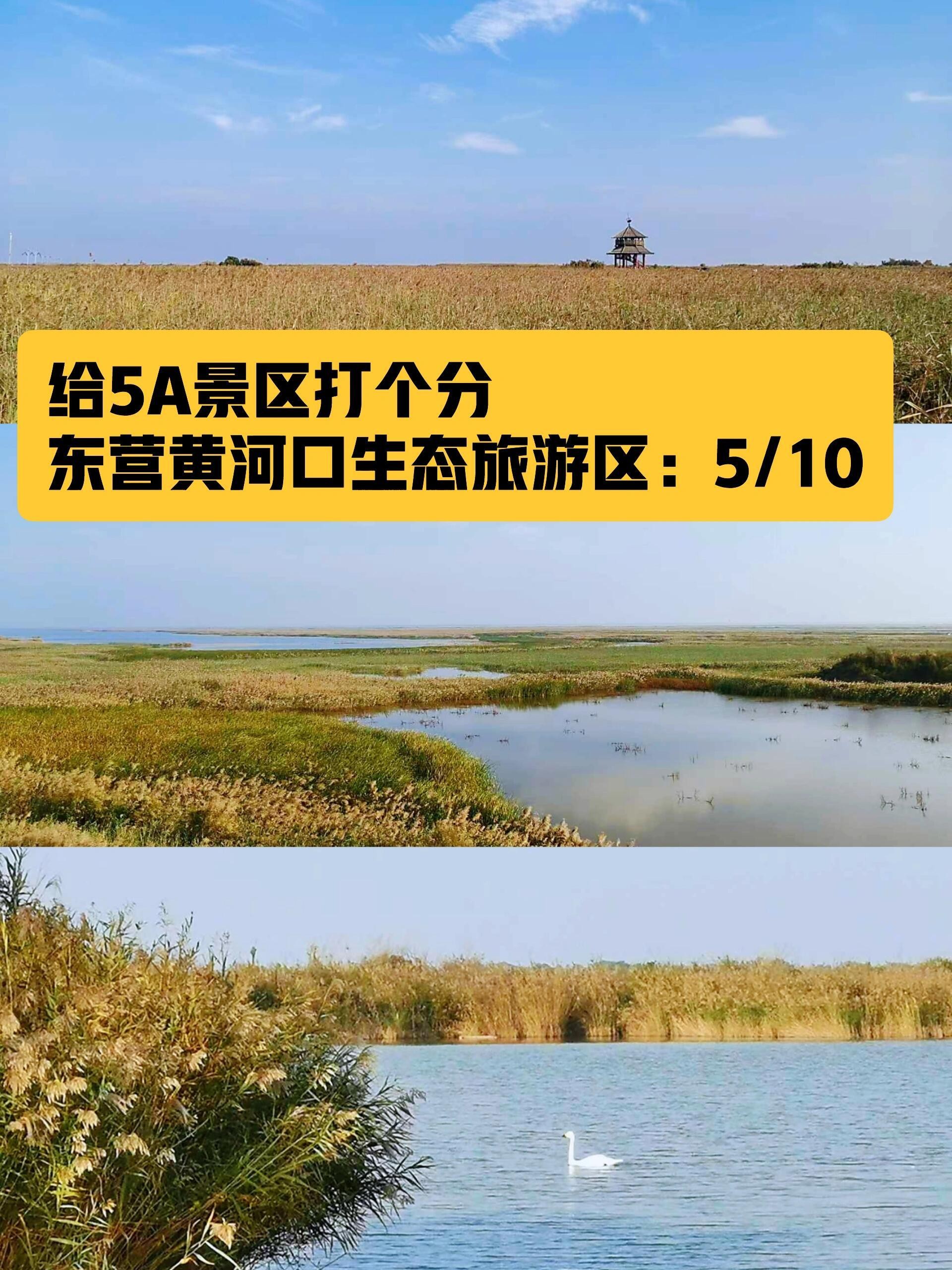 黄河口生态旅游区-东营黄河口生态旅游区