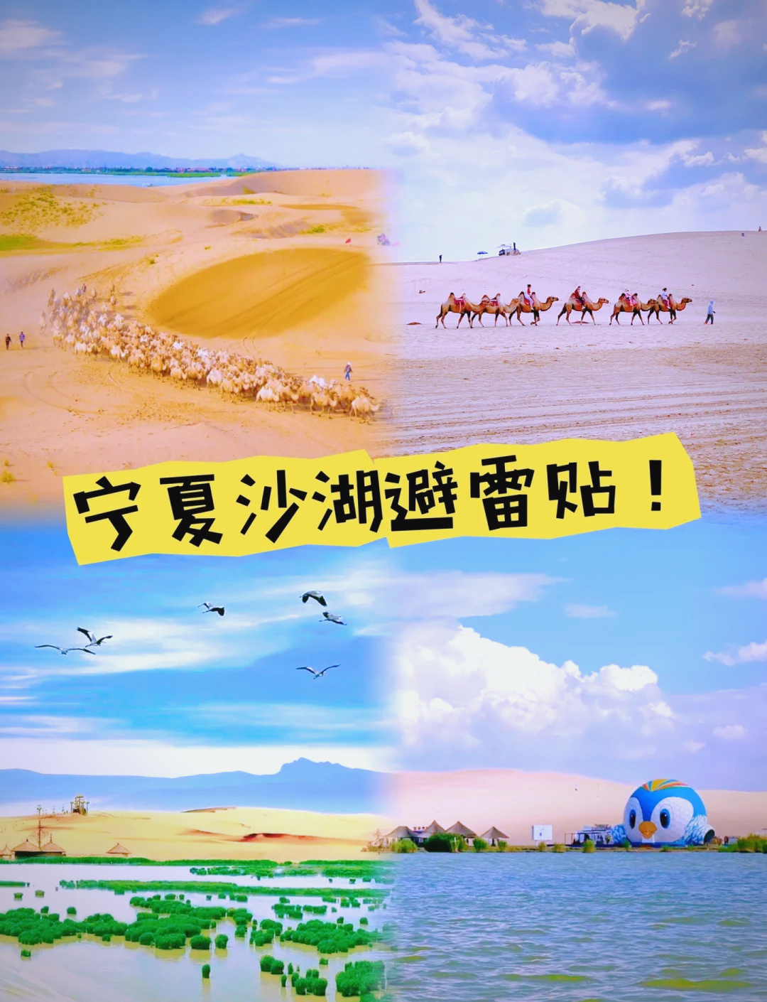 宁夏旅游攻略景点必去-宁夏旅游攻略景点必去视频