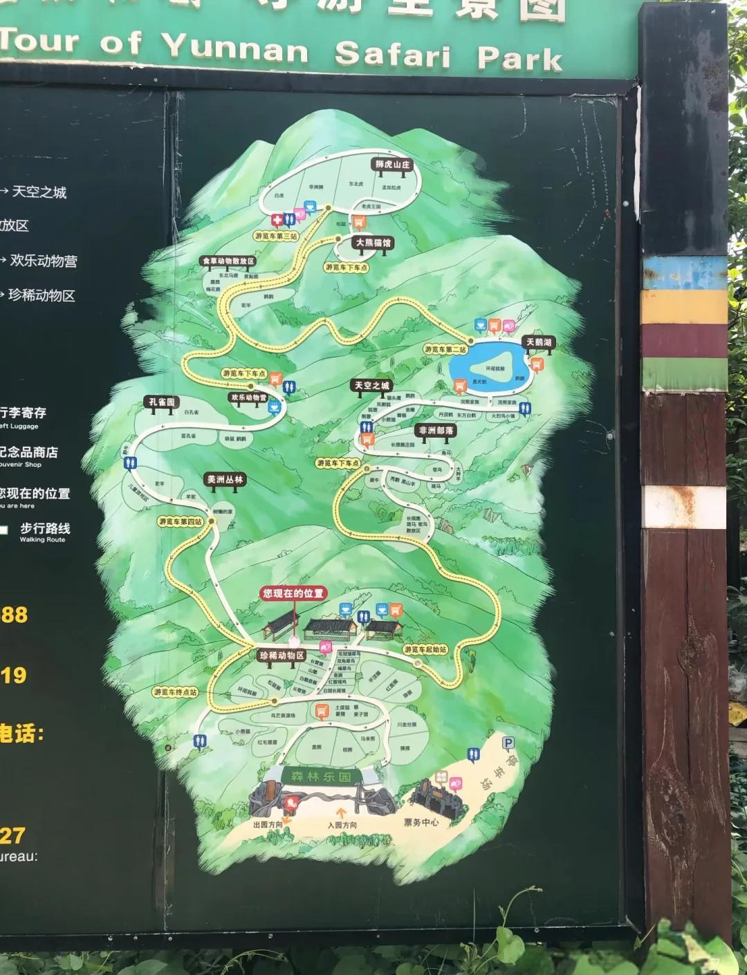 香江野生动物园门票-香江野生动物园门票官网