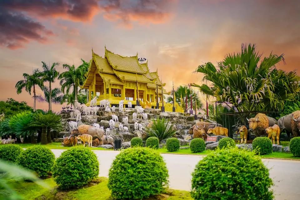 芭提雅旅游-芭提雅旅游视频 芭提雅旅游-芭提雅旅游视频
