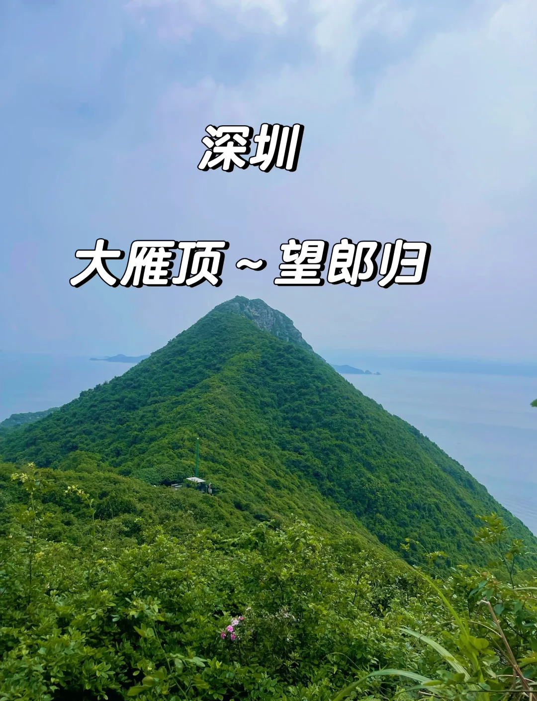 深圳到青海旅游-深圳去青海怎么去方便