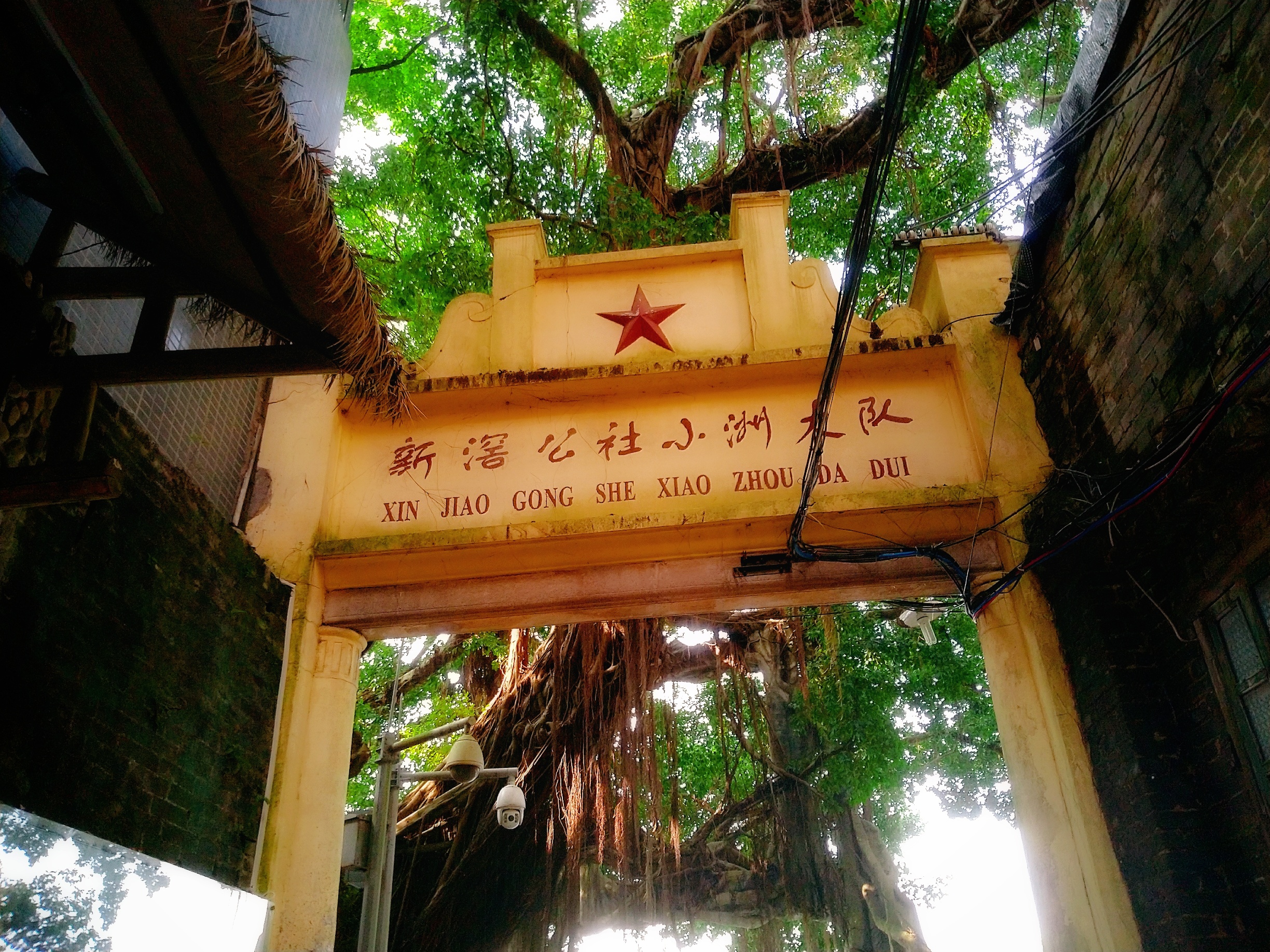 小洲村旅游攻略-小洲村旅游攻略一日游