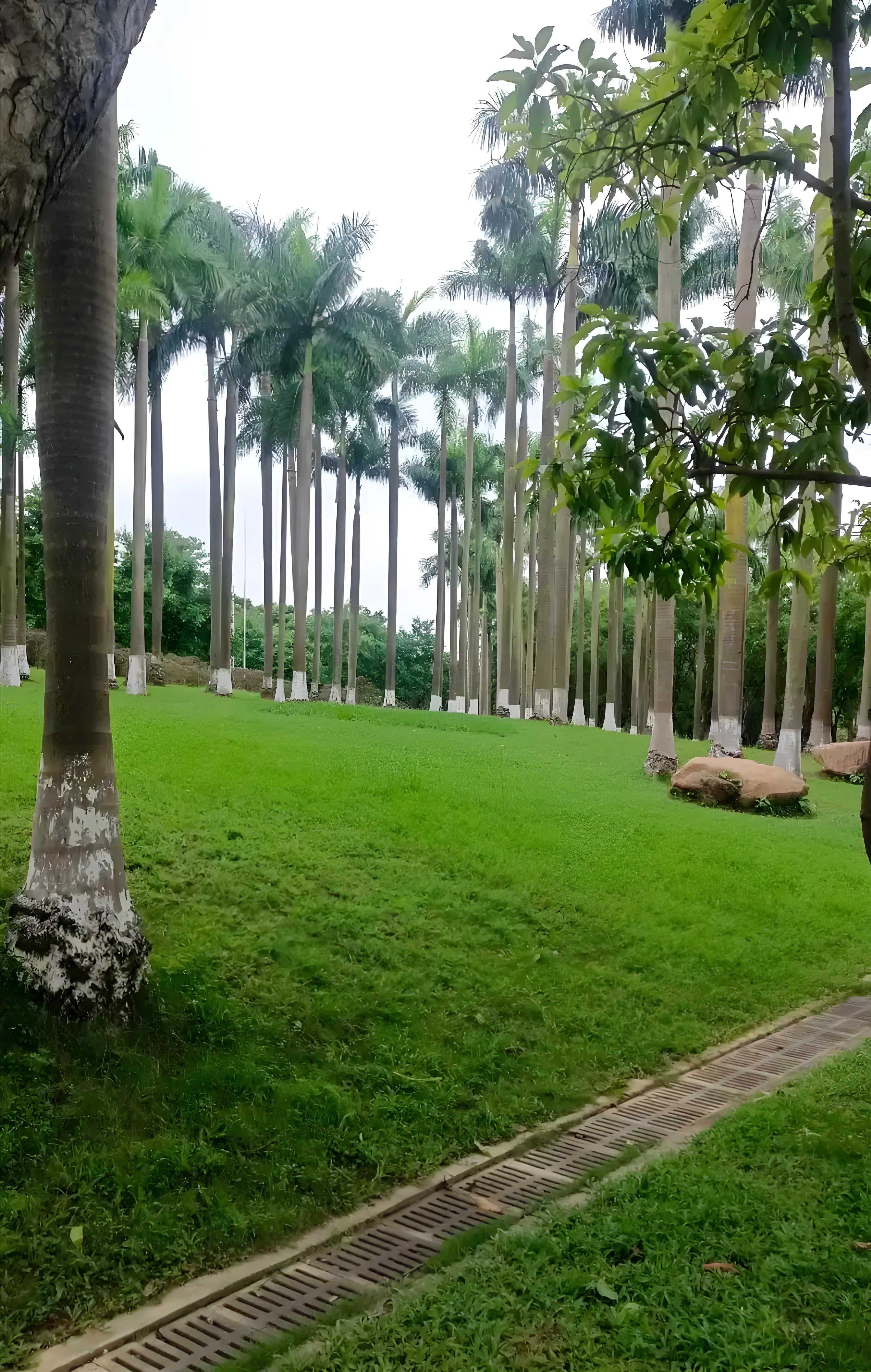 番禺旅游-番禺旅游景点一日游 番禺旅游-番禺旅游景点一日游