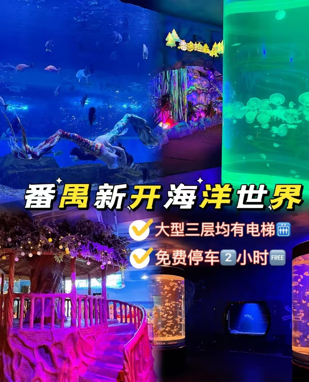 广州海洋馆门票-广州海洋馆门票优惠政策 广州海洋馆门票-广州海洋馆门票优惠政策