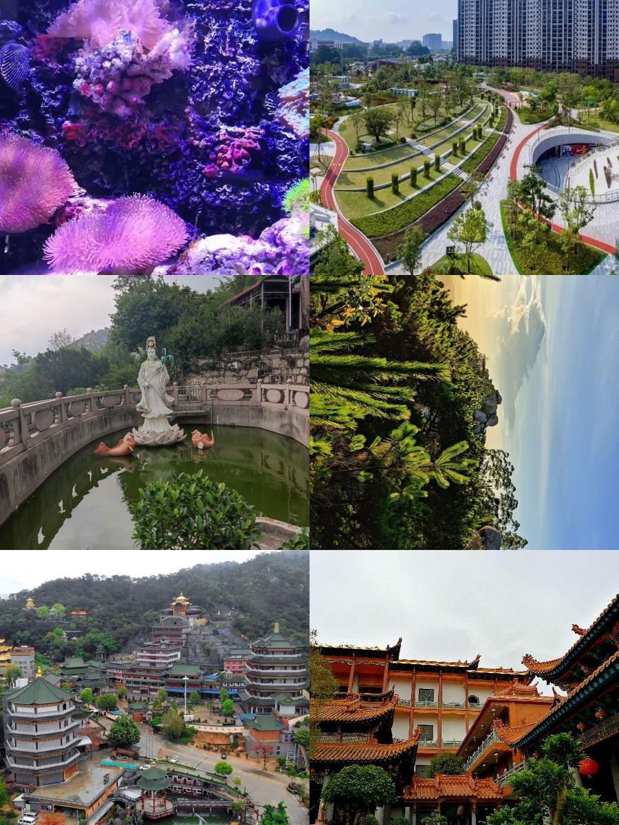 潮阳旅游景点大全-潮阳旅游攻略自由行 潮阳旅游景点大全-潮阳旅游攻略自由行