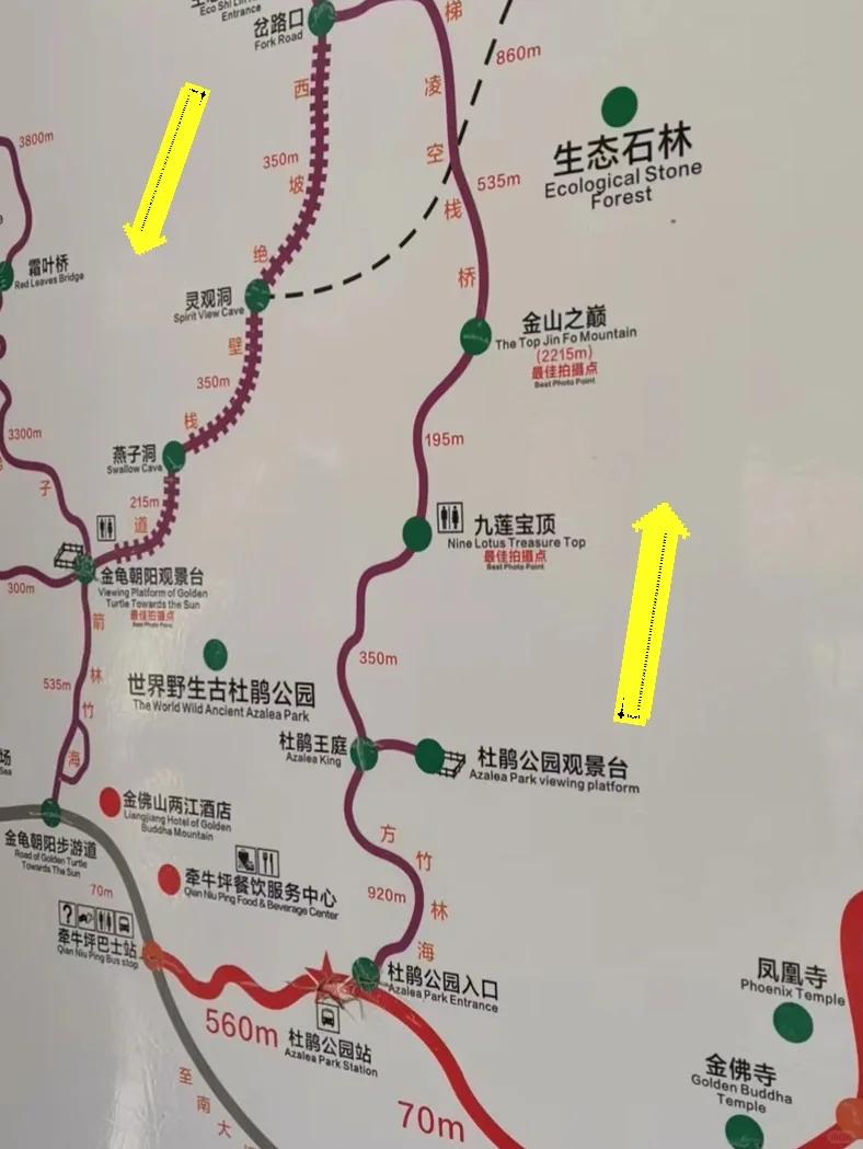 金佛山旅游攻略-金佛山旅游攻略一日游 金佛山旅游攻略-金佛山旅游攻略一日游