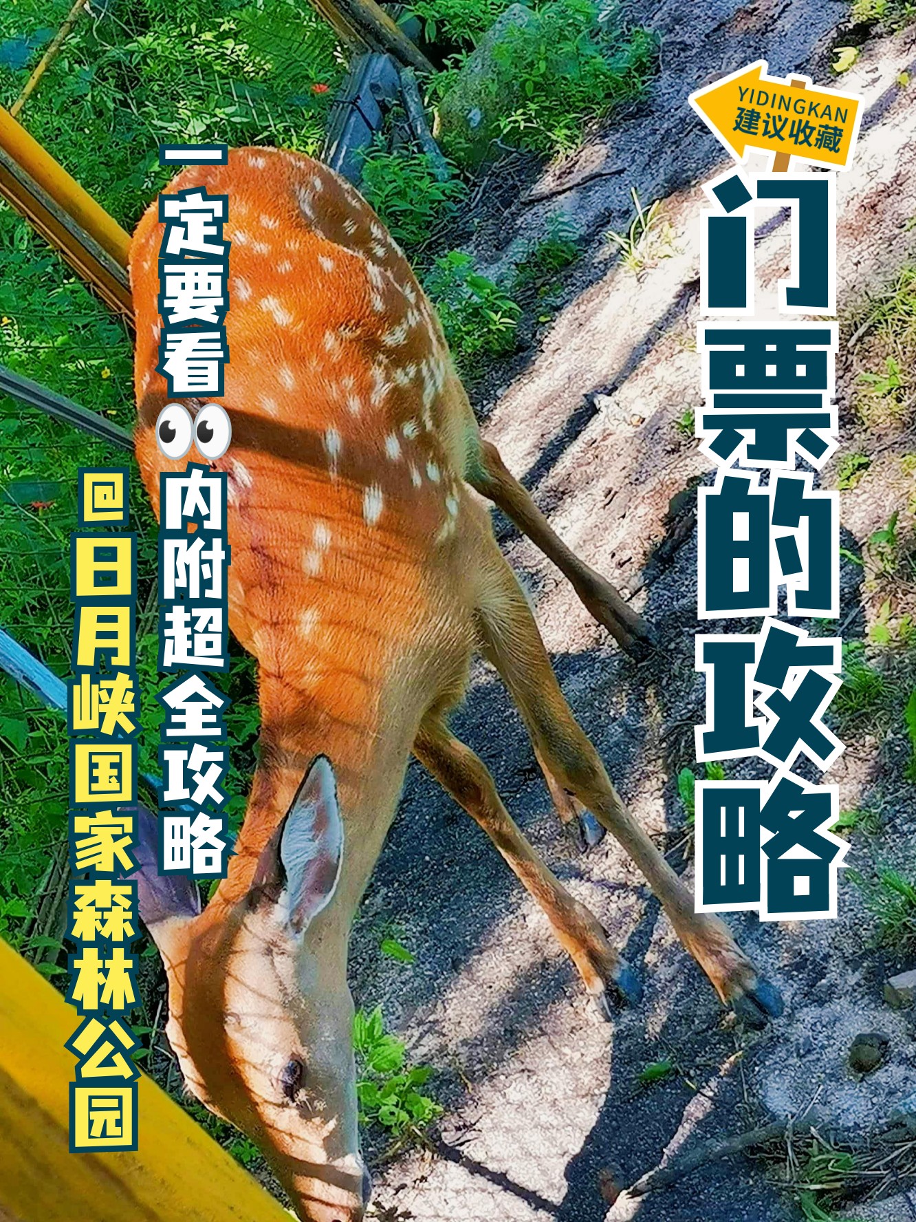 森林公园门票-亚龙湾热带天堂森林公园门票 森林公园门票-亚龙湾热带天堂森林公园门票