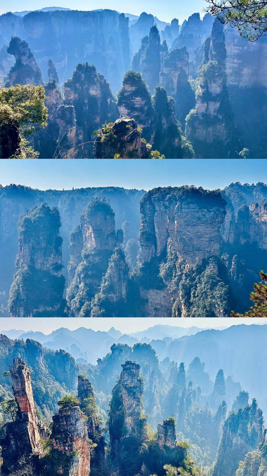 张家界旅游必去景点-张家界哪些旅游景点值得去