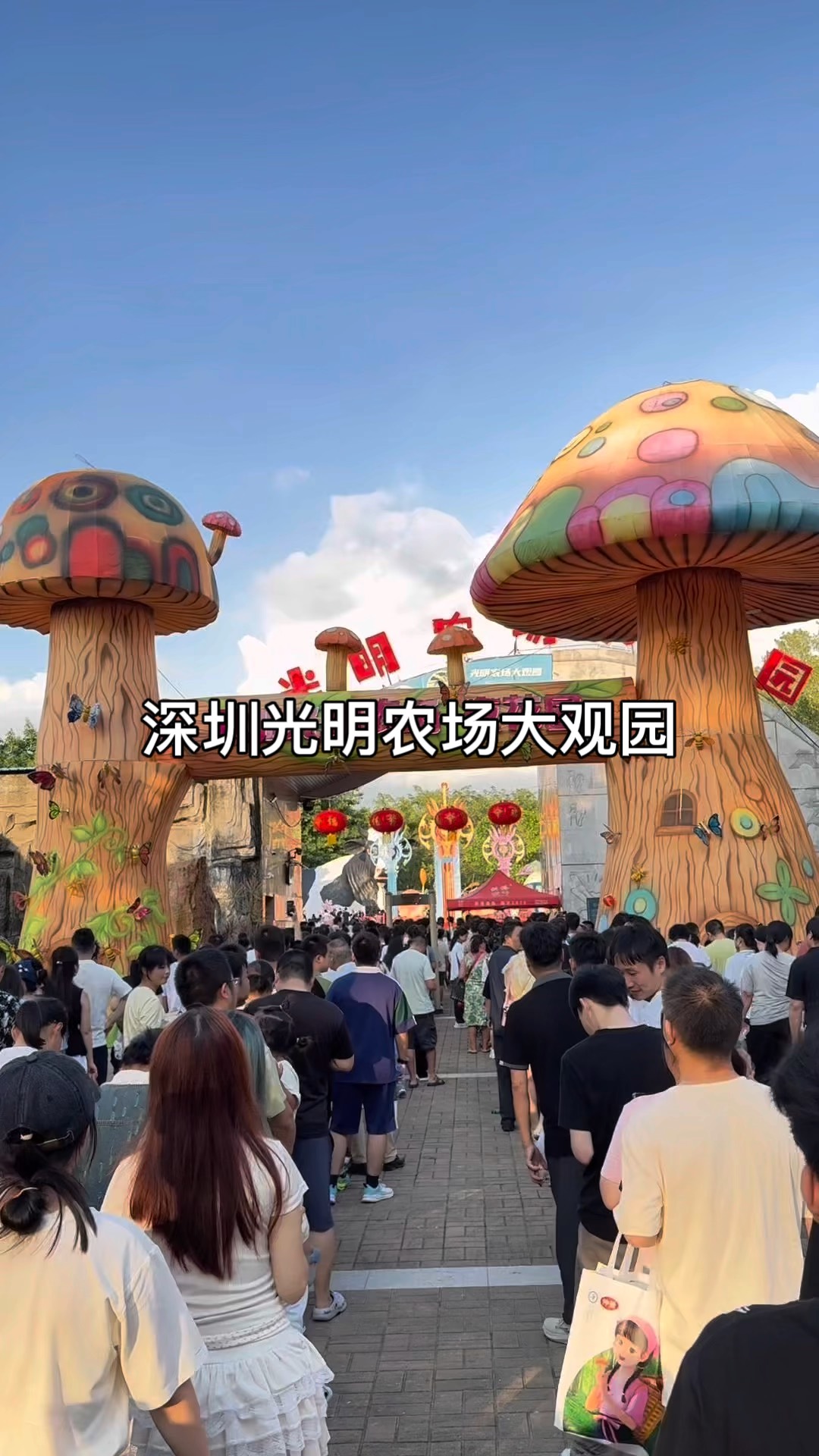 光明农场门票-光明农场开放时间 光明农场门票-光明农场开放时间