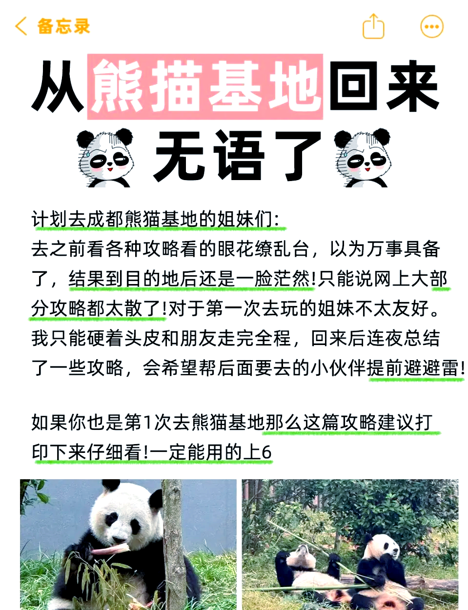 大熊猫基地门票-大熊猫基地门票优惠政策 大熊猫基地门票-大熊猫基地门票优惠政策