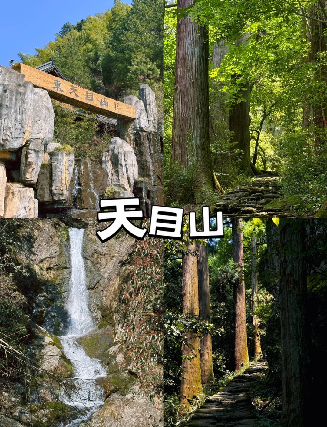 天目山旅游-天目山旅游,主要想玩哪些景点呢 天目山旅游-天目山旅游,主要想玩哪些景点呢