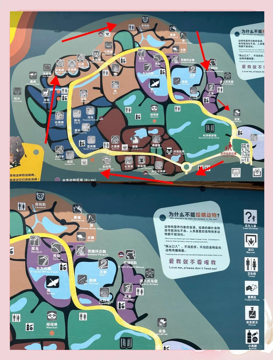 上海动物园门票价格-穷游看海去哪里比较好 上海动物园门票价格-穷游看海去哪里比较好