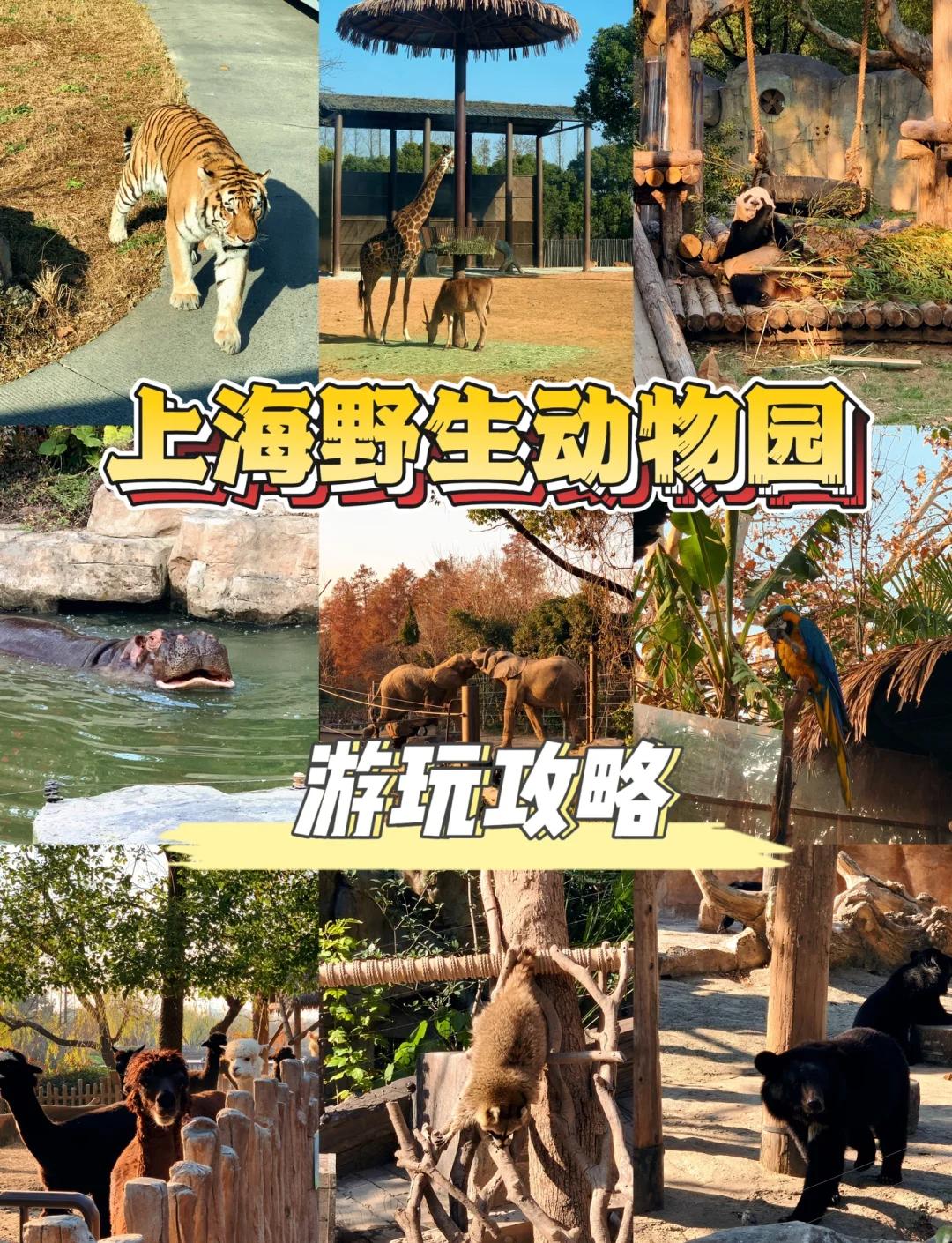 上海动物园门票价格-穷游看海去哪里比较好 上海动物园门票价格-穷游看海去哪里比较好