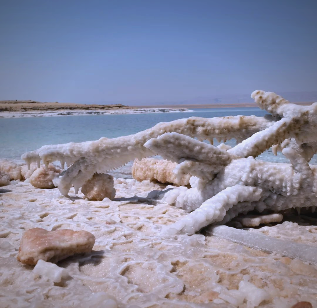 死海旅游-死海旅游游后感500字