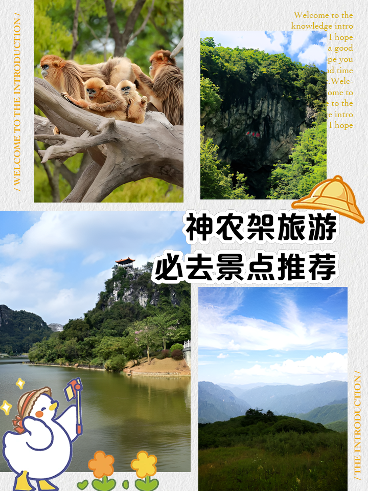 神农架旅游景点-神农架旅游景点分布图 神农架旅游景点-神农架旅游景点分布图