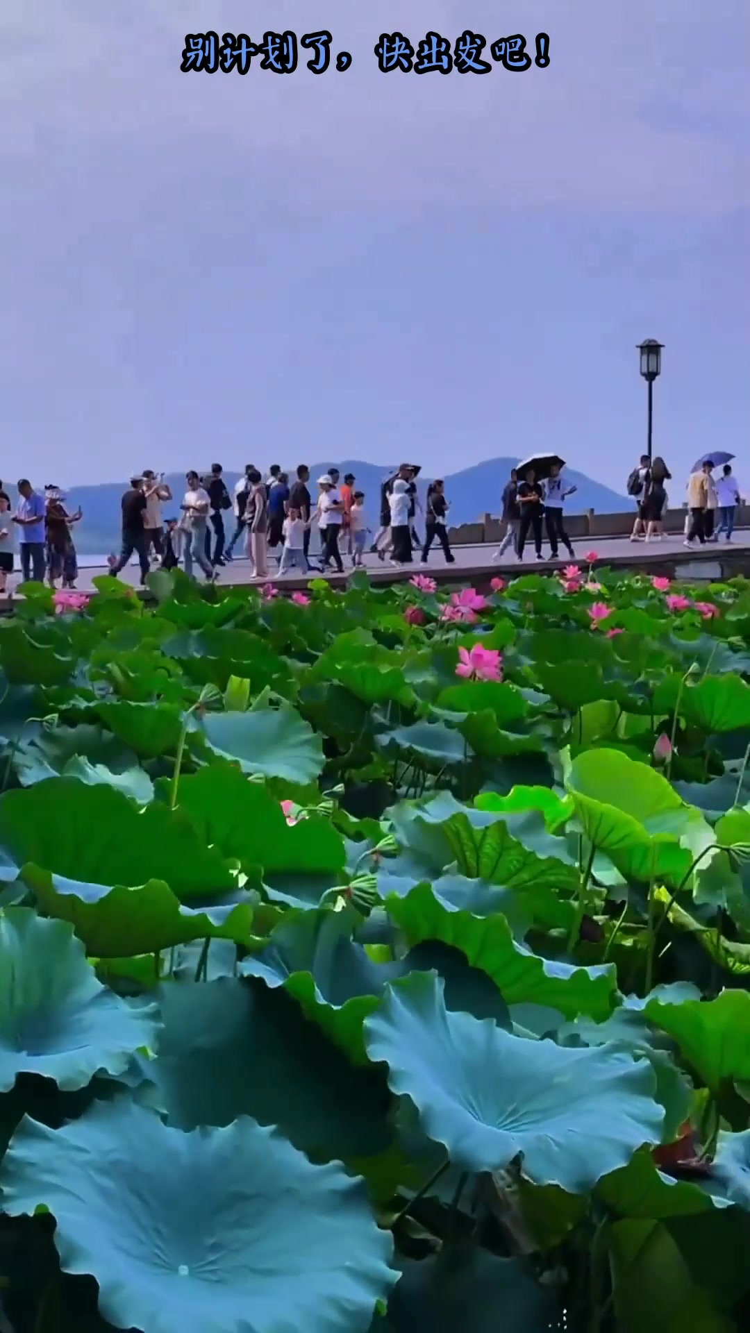 杭州自助旅游-杭州自助旅游费用 杭州自助旅游-杭州自助旅游费用