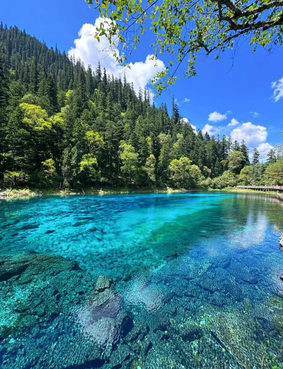 九寨沟旅游季节-九寨沟旅游季节最佳时间 九寨沟旅游季节-九寨沟旅游季节最佳时间