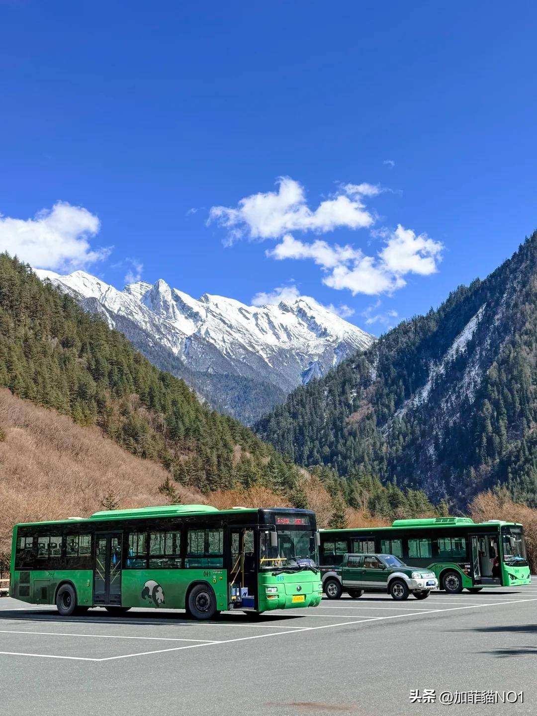 上海到九寨沟旅游-上海到九寨沟旅游纯玩团价格 上海到九寨沟旅游-上海到九寨沟旅游纯玩团价格