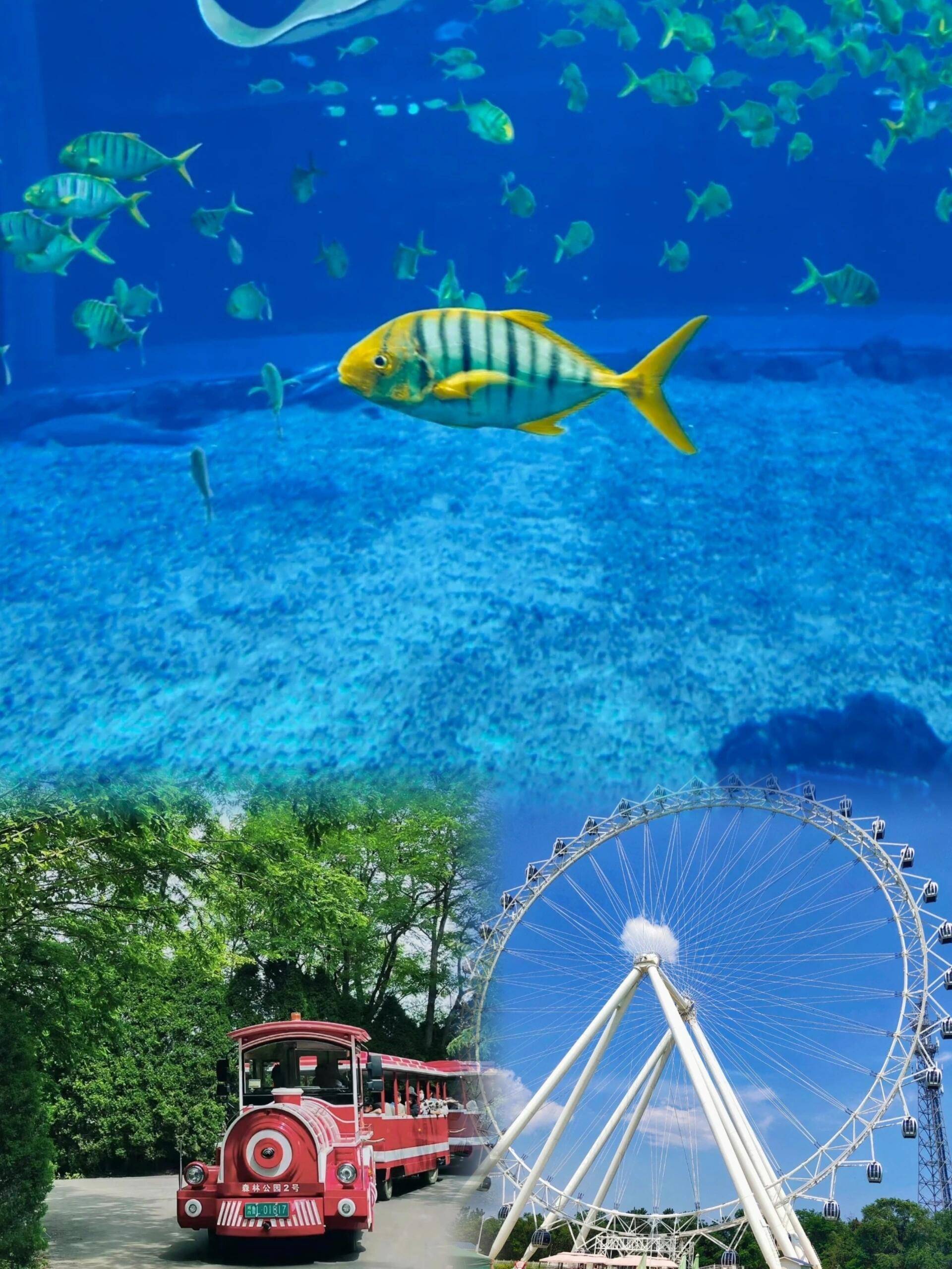 海边旅游-海边旅游必备物品清单