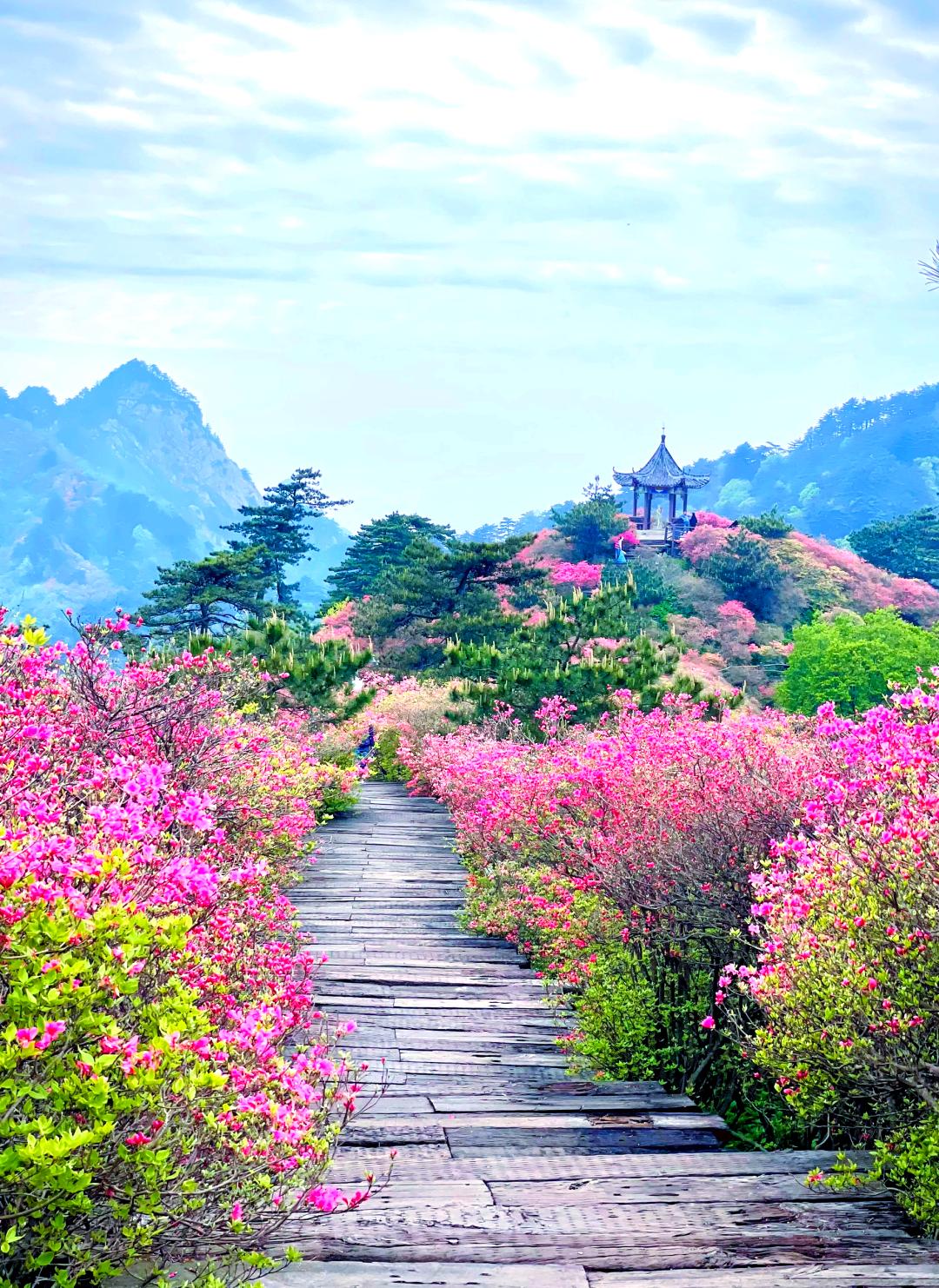春季旅游景点-春季旅游景点有哪些 春季旅游景点-春季旅游景点有哪些