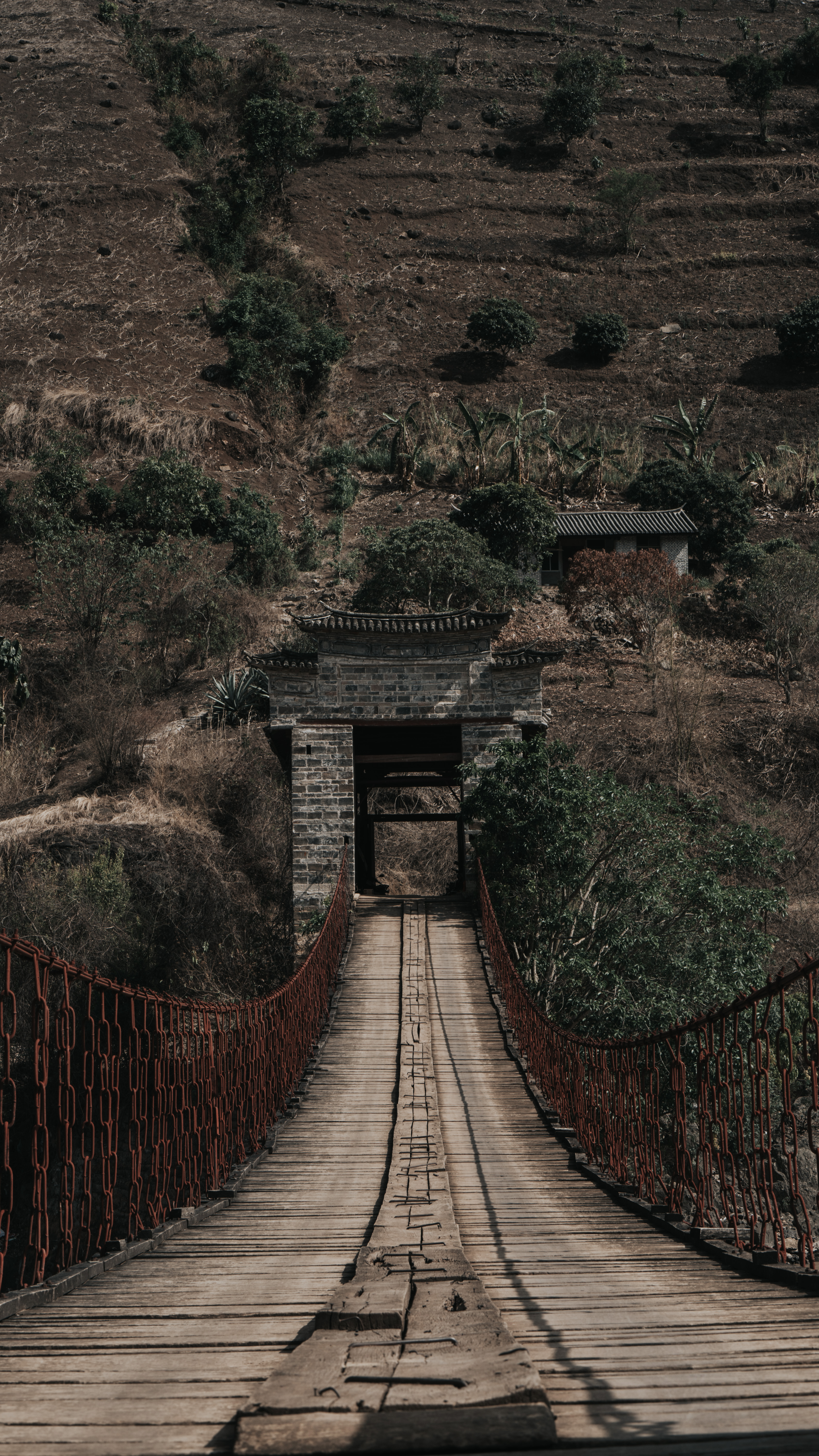 高黎贡山旅游-高黎贡山旅游攻略