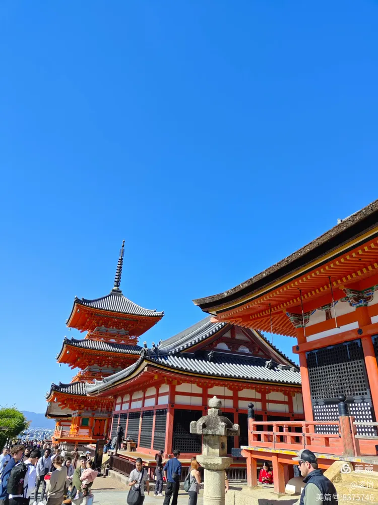 日本游-日本游6天5夜报价