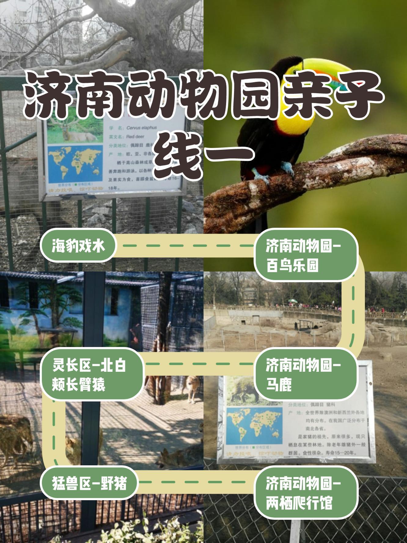 济南动物园门票多少钱-济南野生动物园门票多少一张票 济南动物园门票多少钱-济南野生动物园门票多少一张票