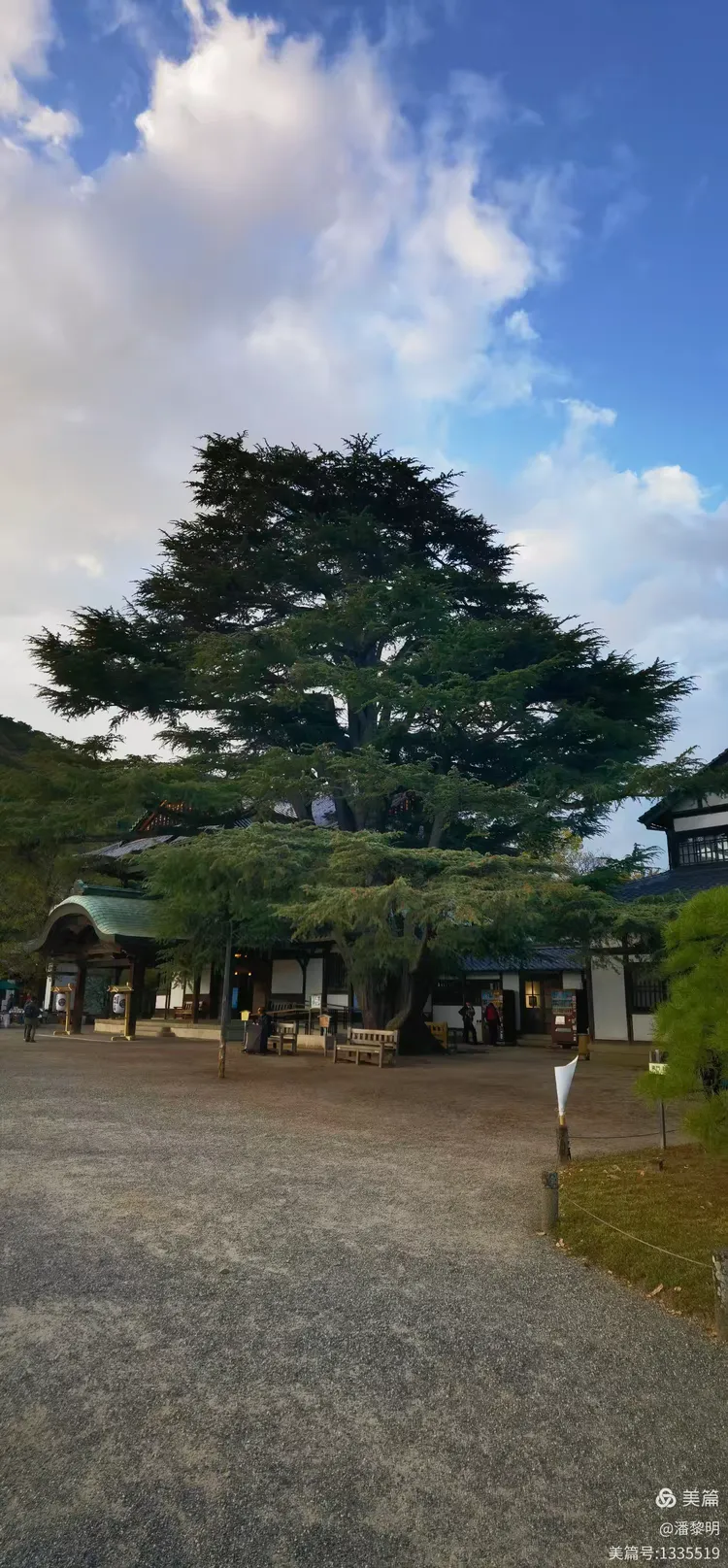 日本福冈旅游-日本福冈旅游注意事项 日本福冈旅游-日本福冈旅游注意事项