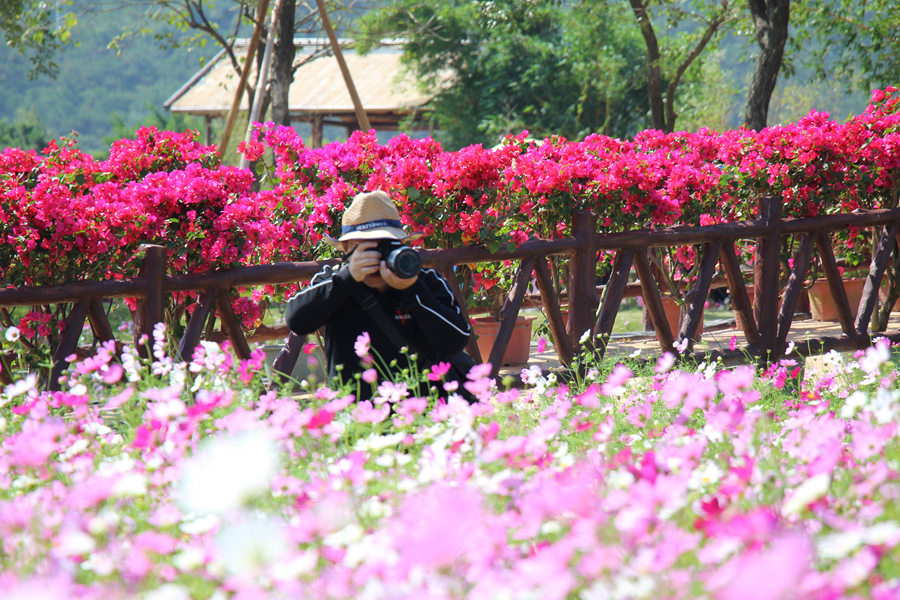 欣欣旅游-518路郑州公交欣欣旅游网