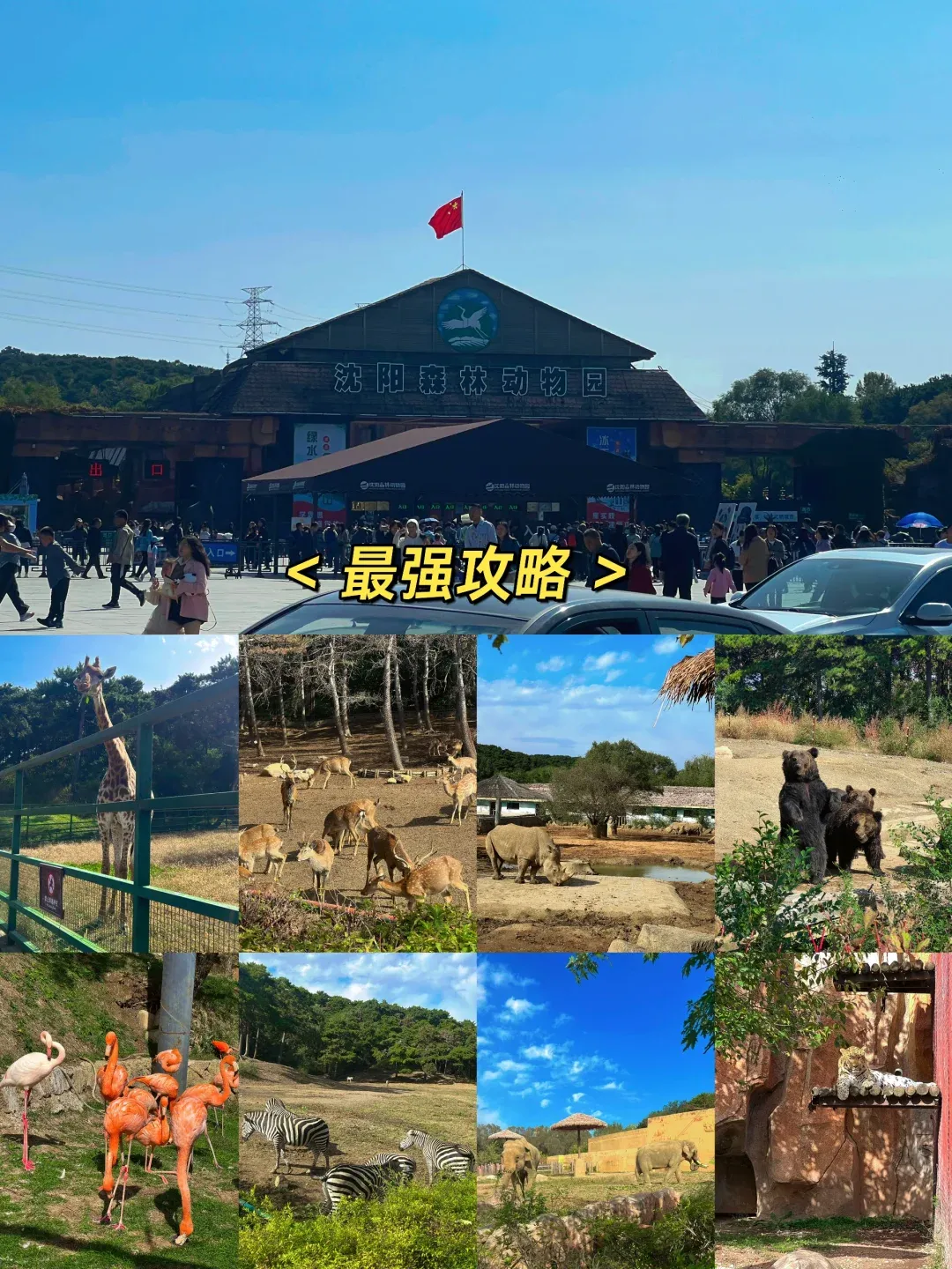 沈阳棋盘山旅游攻略-沈阳棋盘山风景区旅游攻略 沈阳棋盘山旅游攻略-沈阳棋盘山风景区旅游攻略