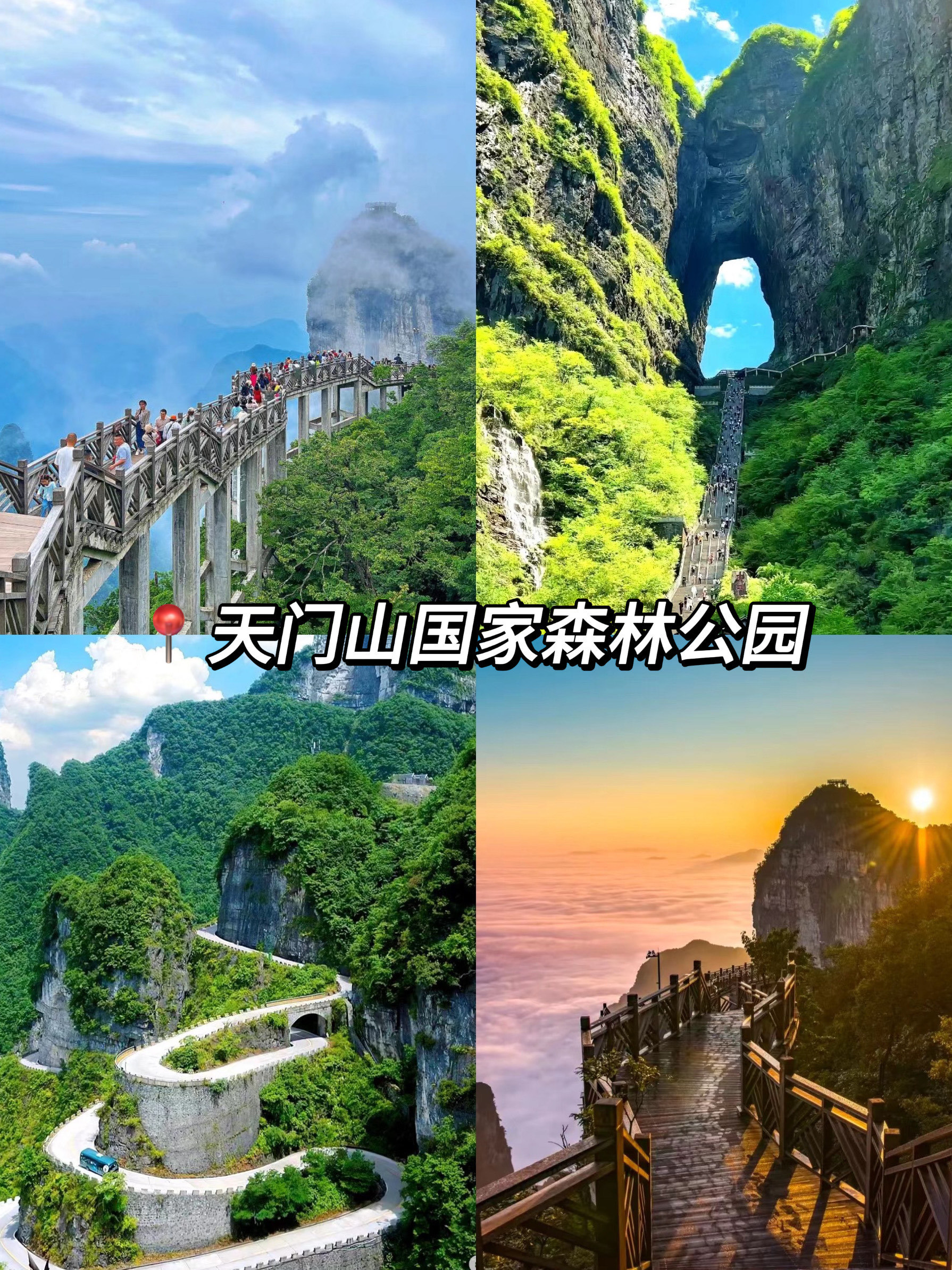 张家界旅游网-张家界旅游官方平台 张家界旅游网-张家界旅游官方平台