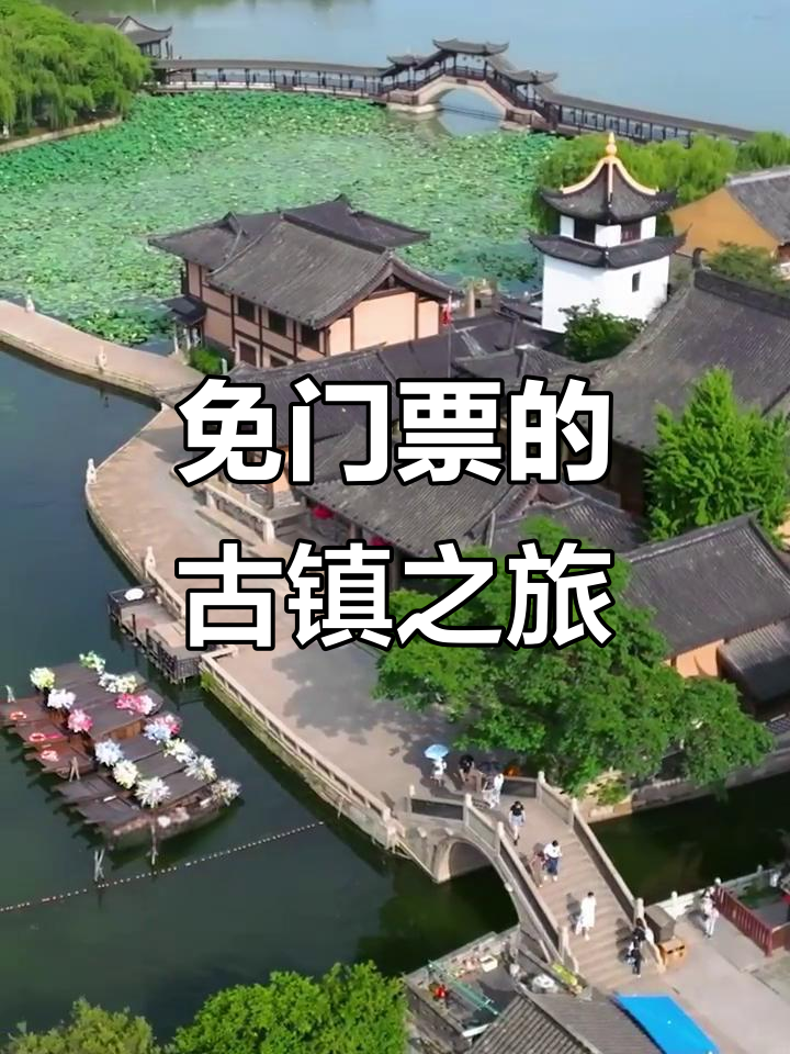锦溪门票-蝎子吃毛毛虫 锦溪门票-蝎子吃毛毛虫