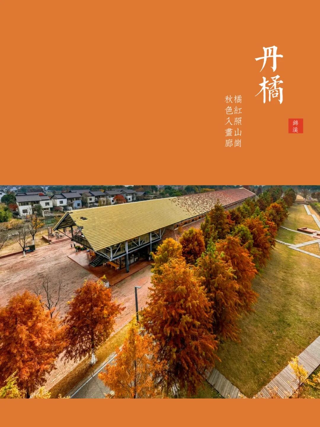 锦溪门票-蝎子吃毛毛虫 锦溪门票-蝎子吃毛毛虫