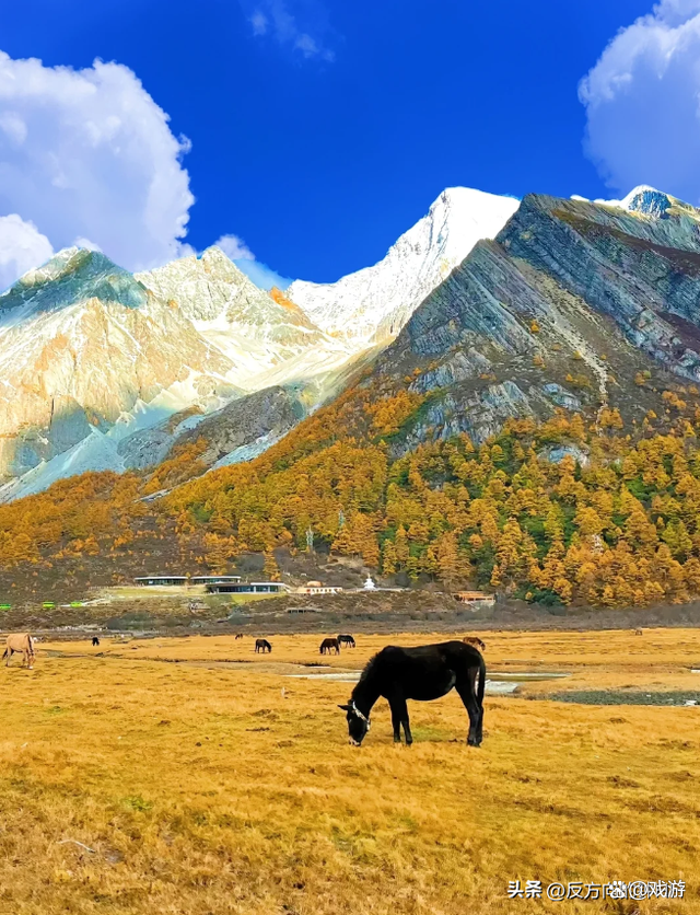 10月去哪里旅游最好-10月去哪里旅游最好国内