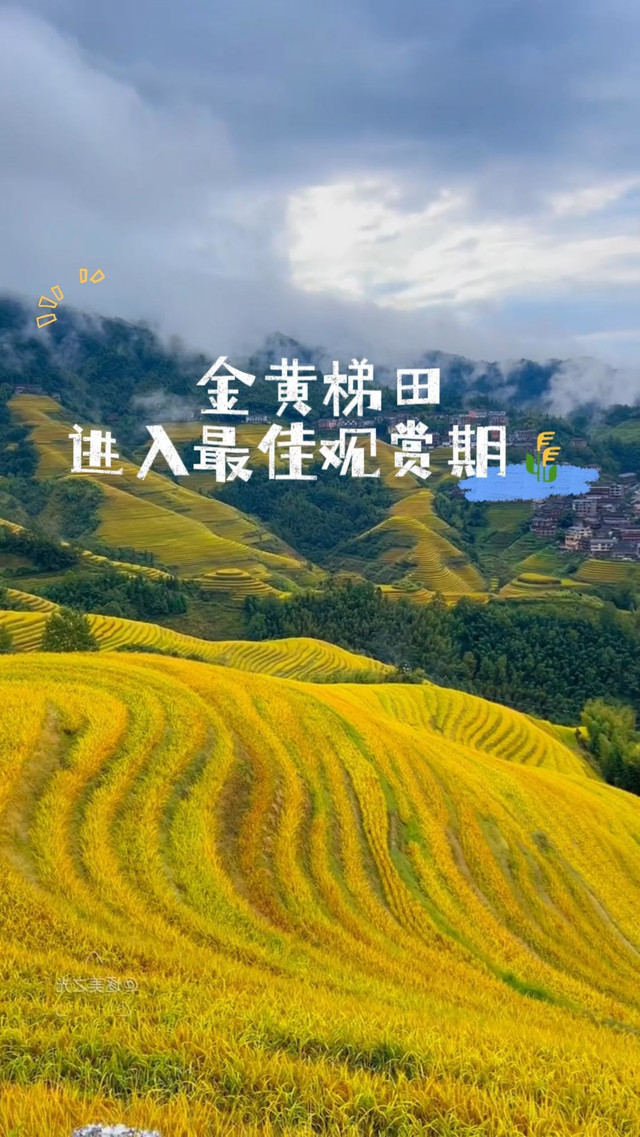 龙脊梯田门票-龙脊梯田门票有效期几天?
