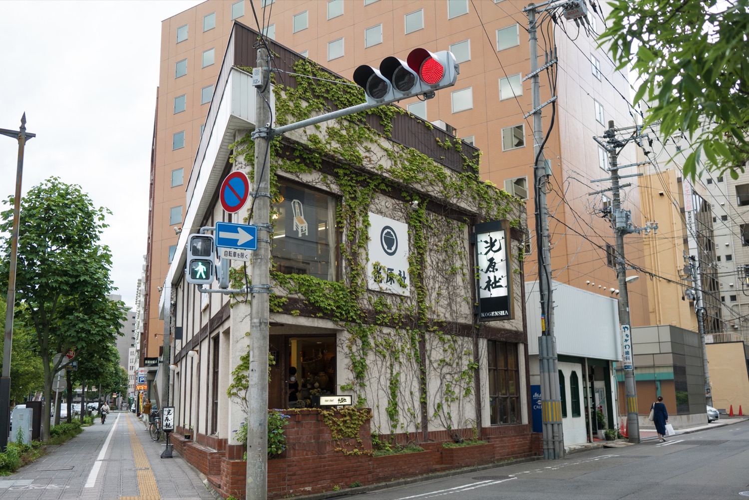 日本仙台-日本仙台大学