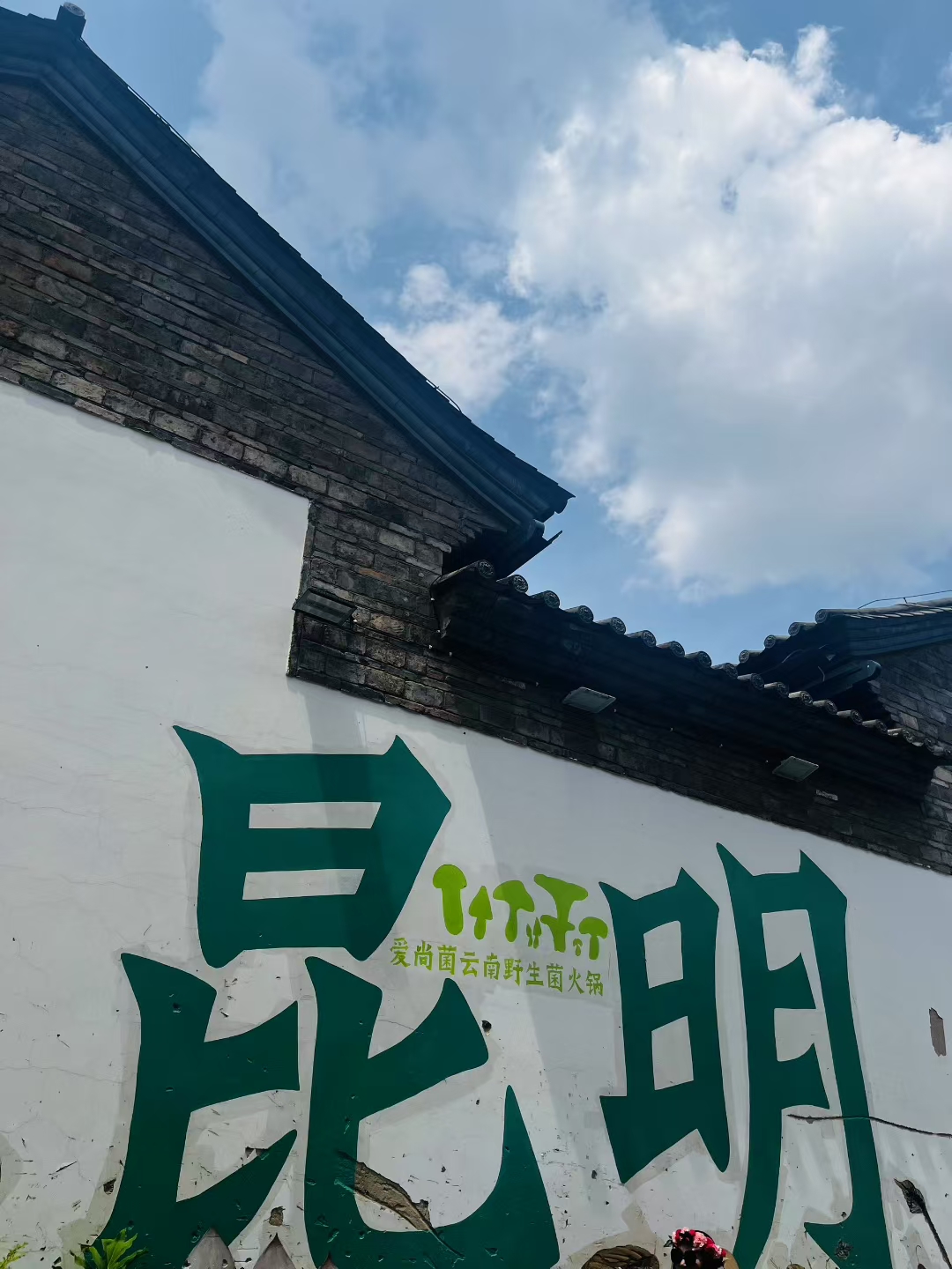 昆明旅游社-昆明旅游社排名前十名