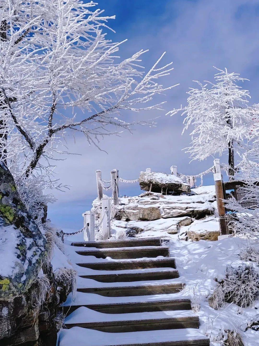 冬天适合去哪里旅游-冬天适合去哪里旅游暖和的地方 冬天适合去哪里旅游-冬天适合去哪里旅游暖和的地方
