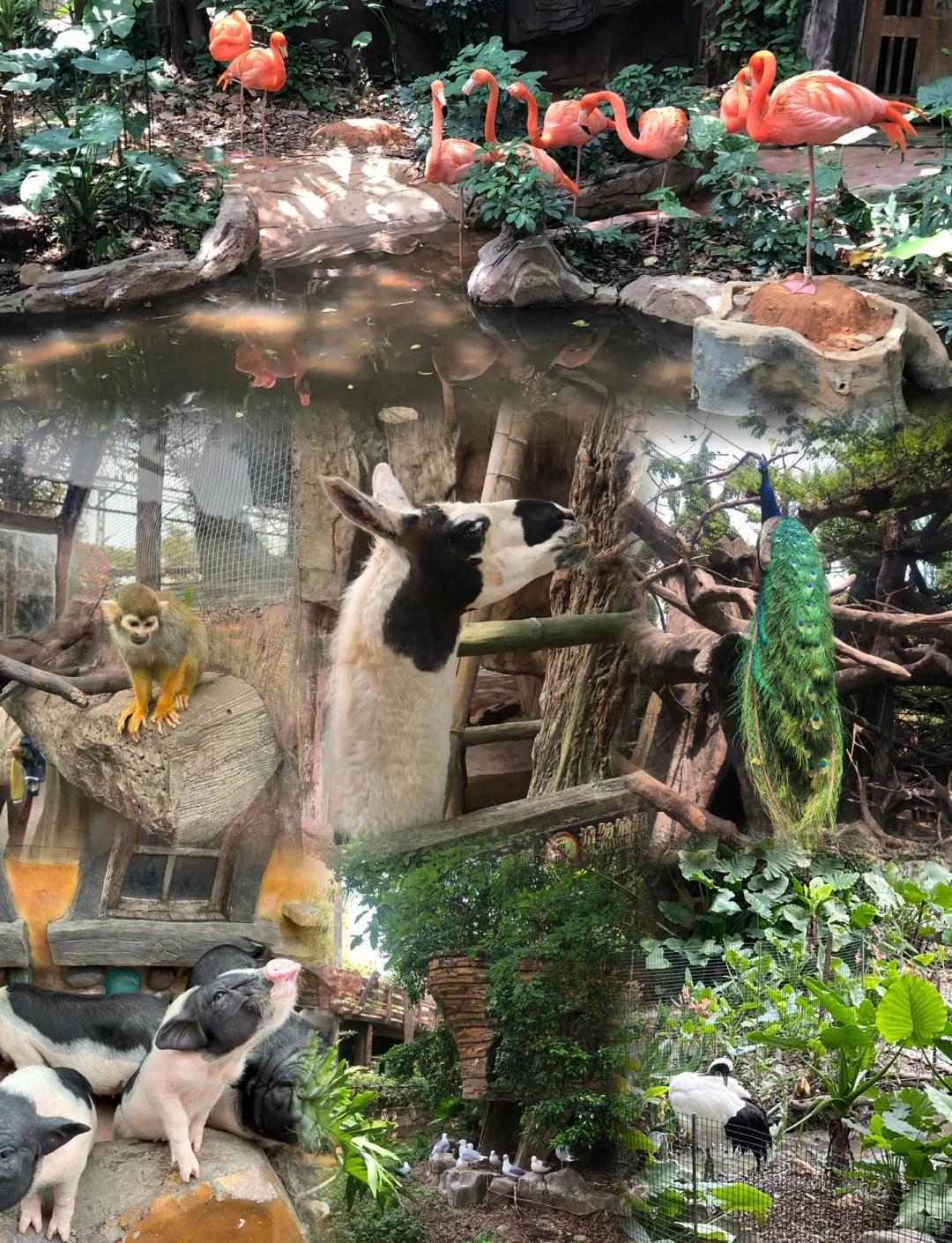 长鹿农庄旅游攻略-长鹿农庄旅游攻略图 长鹿农庄旅游攻略-长鹿农庄旅游攻略图