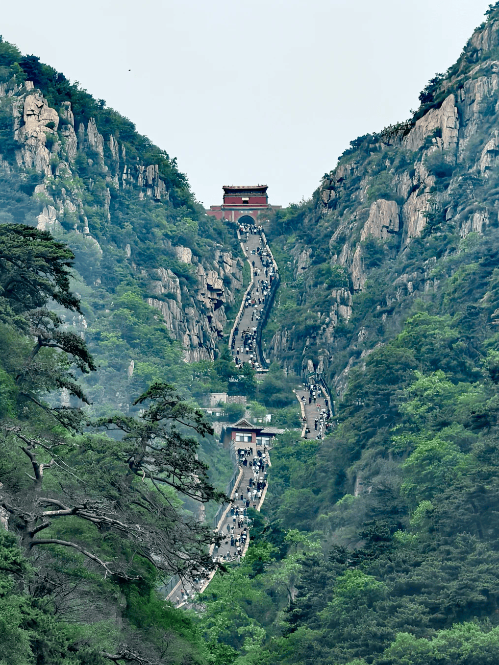 山东泰山旅游-山东泰山旅游攻略 山东泰山旅游-山东泰山旅游攻略