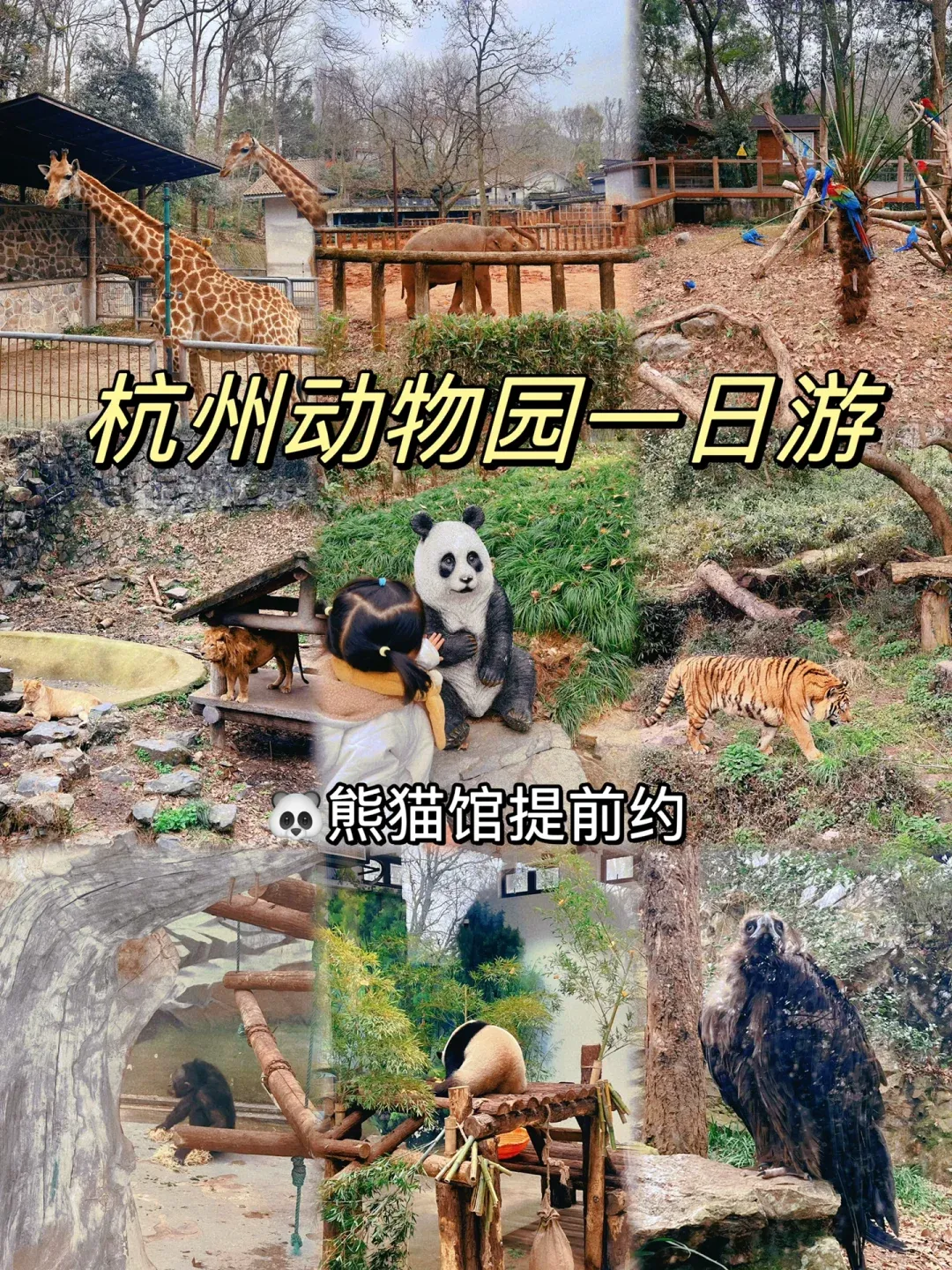 杭州动物园门票-杭州动物园门票怎么买划算